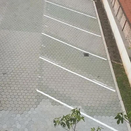 Apartmaji Delfincek